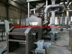 網帶通過式拋丸清理機